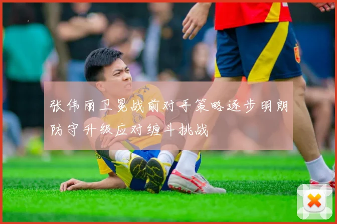 张伟丽卫冕战前对手策略逐步明朗防守升级应对缠斗挑战
