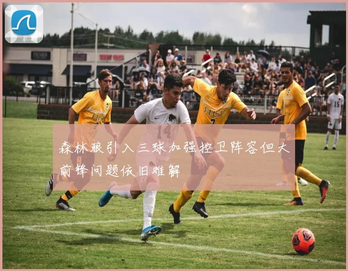 森林狼引入三球加强控卫阵容但大前锋问题依旧难解
